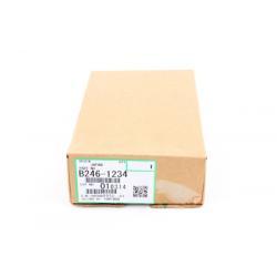 Ricoh B246-1234 Rear Ozone Filter - MP6000