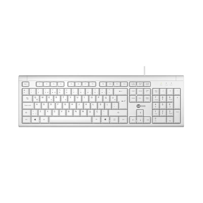 Lenovo Lecoo KB101 USB Wired White Turkish Q Keyboard
