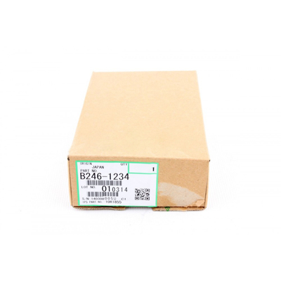 Ricoh B246-1234 Rear Ozone Filter - MP6000